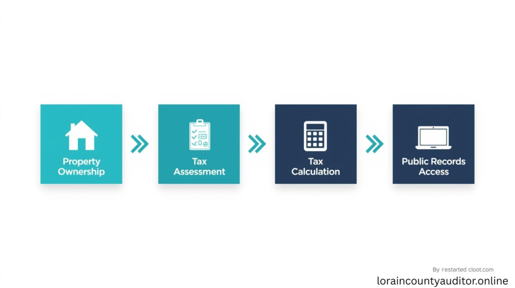 
lorain county auditor banks step by step property tax and assessment process flow infographic